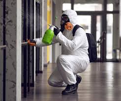 Best Mold Odor Removal Services  in Churchville, NY